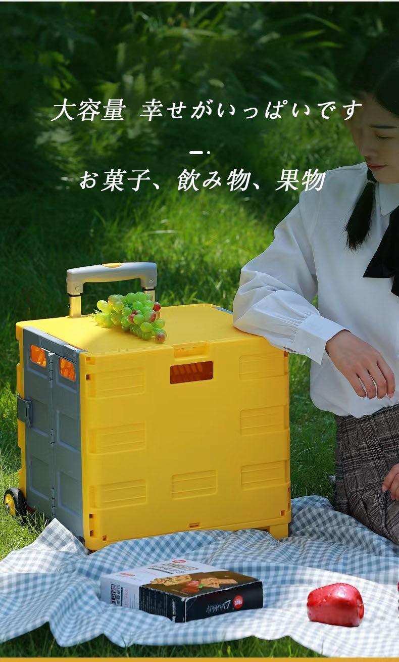 Car storage pole box two-wheeled vegetable purchase car folding storage box household cart rotating transport moving cart camper